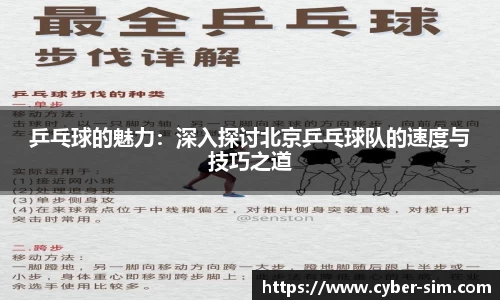 乒乓球的魅力：深入探讨北京乒乓球队的速度与技巧之道